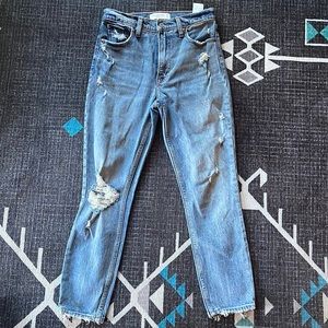 Abercrombie and Fitch the skinny high rise 27 short